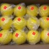 New ATEC Tuffy Dimpled Pitching Machine Balls 1 Dozen (12)-12 Inch Yellow 2 New ATEC Tuffy Dimpled Pitching Machine Balls 1 Dozen (12)-12 Inch Yellow -Softball Shop 2022 06 15 2009.59.08 scaled
